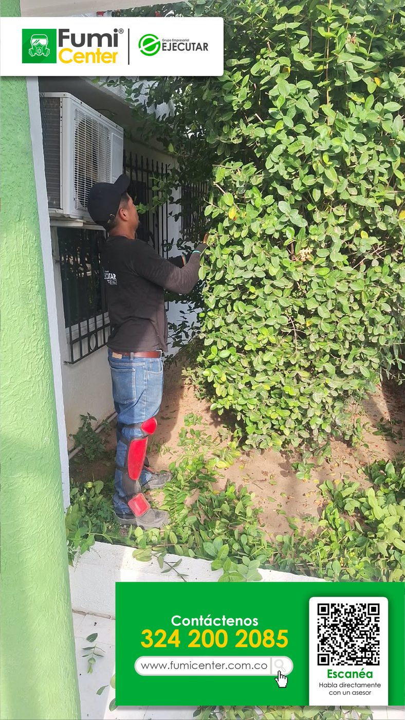 Jardinero de FumiCenter podando una enredadera en la fachada y las rejas de una vivienda en Santa Marta