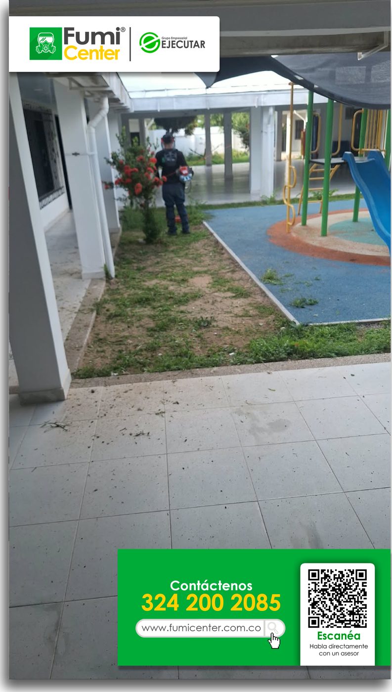 Zona verde y parque infantil de un colegio en Santa Marta con el césped cortado por FumiCenter